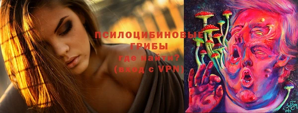 амф Алексеевка